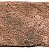 Wandtegel Colosseum Stone Brown OP=OP